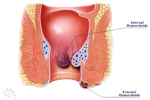 Akshaya Embryoscope